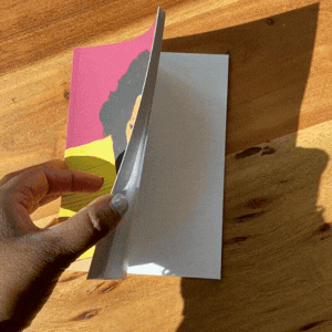 Toni Morrison Lined Notebook