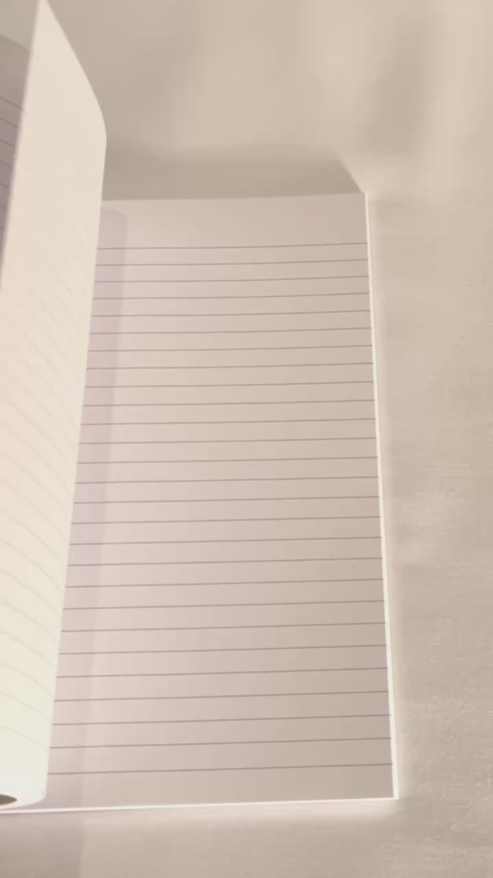 Toni Morrison Notebook